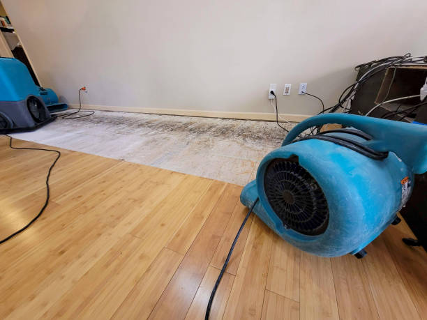 Reliable Basement Flood Cleanup contractor in Minneapolis, MN by Hirex Water Damage