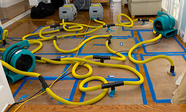 Professional Basement Flood Cleanup technician working in Minneapolis, MN